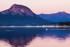 A Pelican drifts slowly across the water as the first rays of light hit the mountains